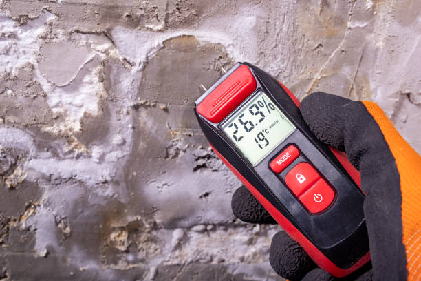 Best Mold Cleaning Services  in Wheeling, IL